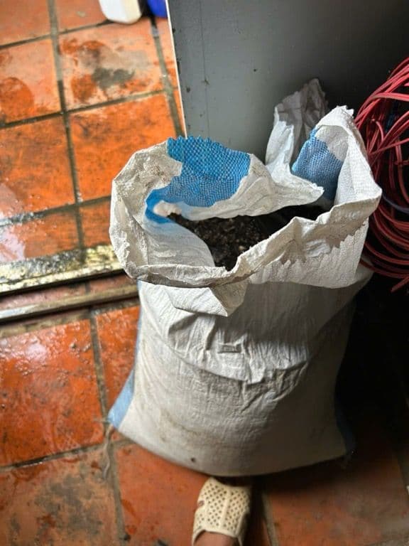 Trần Kỳ thu tổ dọn phâ xịt mạt - 1