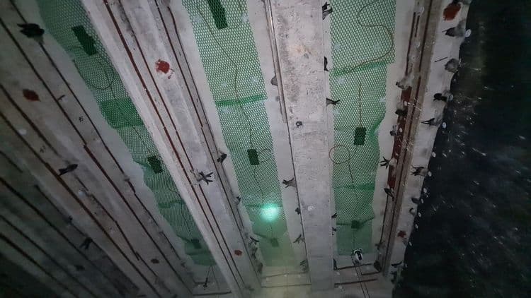 Nhà yến TPHCM-Gò Vấp-01 - 4
