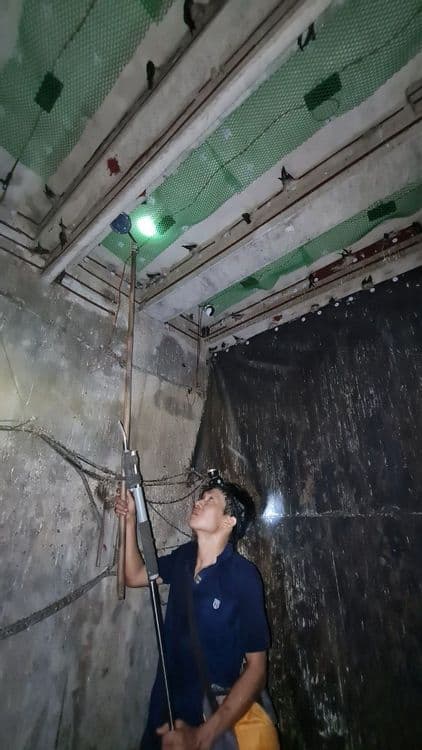 Nhà yến TPHCM-Gò Vấp-01 - 5